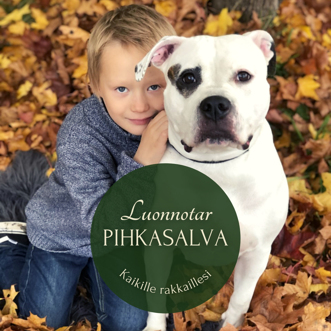 Tervetuloa uusille sivuillemme!