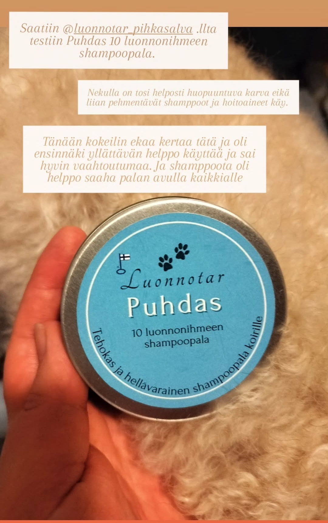 Puhdas palashampoo koirille